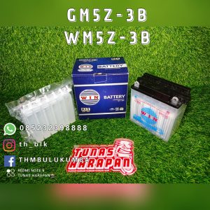 Aki WM5Z-3B WINPART / GM5Z-3B