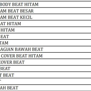BODI SET BEAT Carbu Winpart