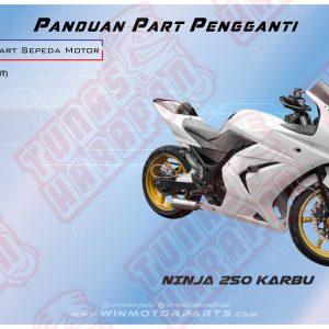 KATALOG NINJA 250 Carbu WINPART
