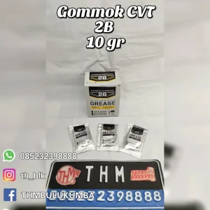 Gommok 2B Cvt 10 Gr