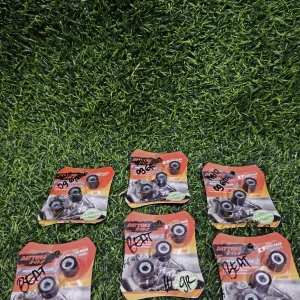 Roller DAYTONA Matic Beat FI 11 Gr / Beat 10 Gr / Mio 09 Gr / M3 08 Gr