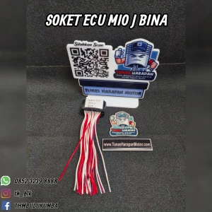 Soket BINAPART Ecu Mio J