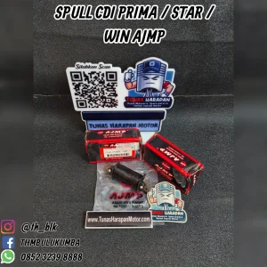 Spull Cdi AJMP Prima / Star / Win 