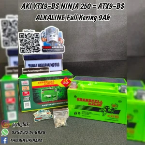 Aki YTX9-BS ALKALINE Ninja 250 = ATX9 - BS Full Kering 9Ah 