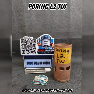 Porting TW L2 